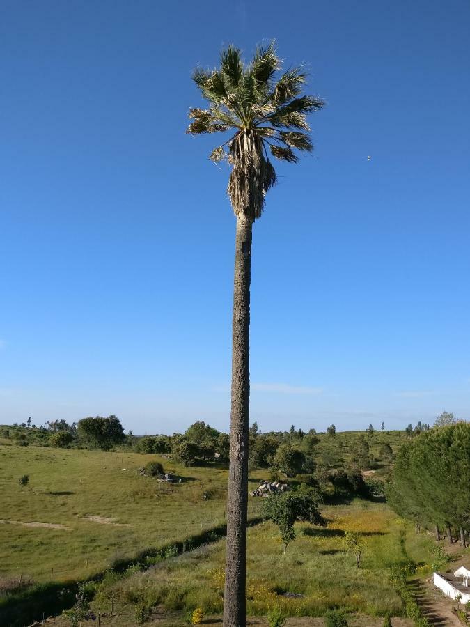 Quinta da Abrunheira - Gustavo Eiffel Ciborro Exterior foto