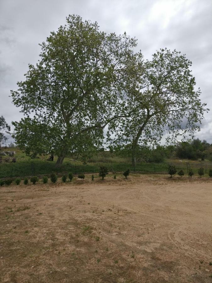 Quinta da Abrunheira - Gustavo Eiffel Ciborro Exterior foto